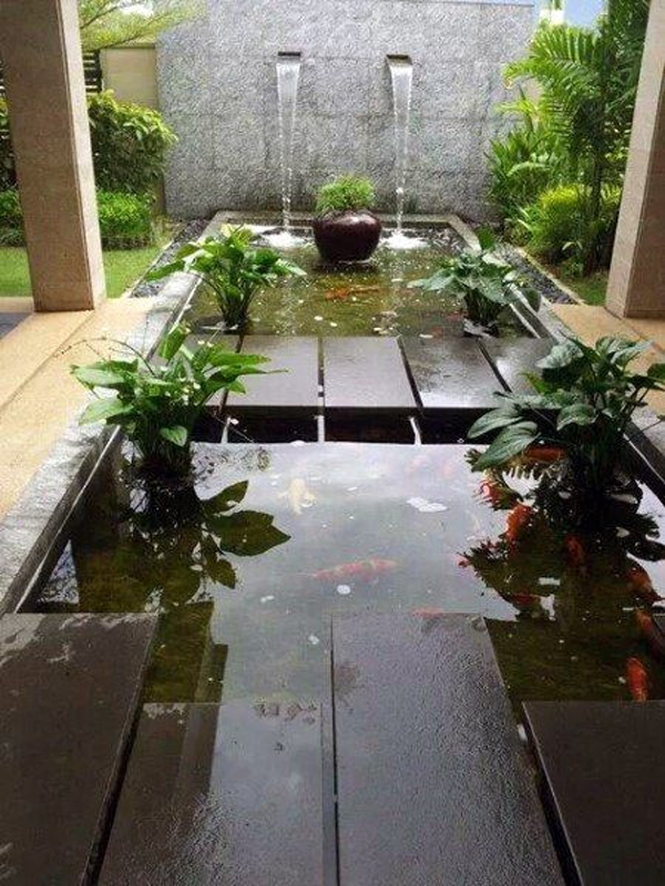 tiểu cảnh thác nước bể cá
