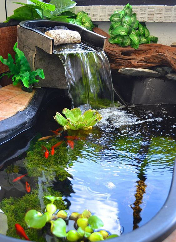 Tiểu cảnh hồ cá nước đọng 